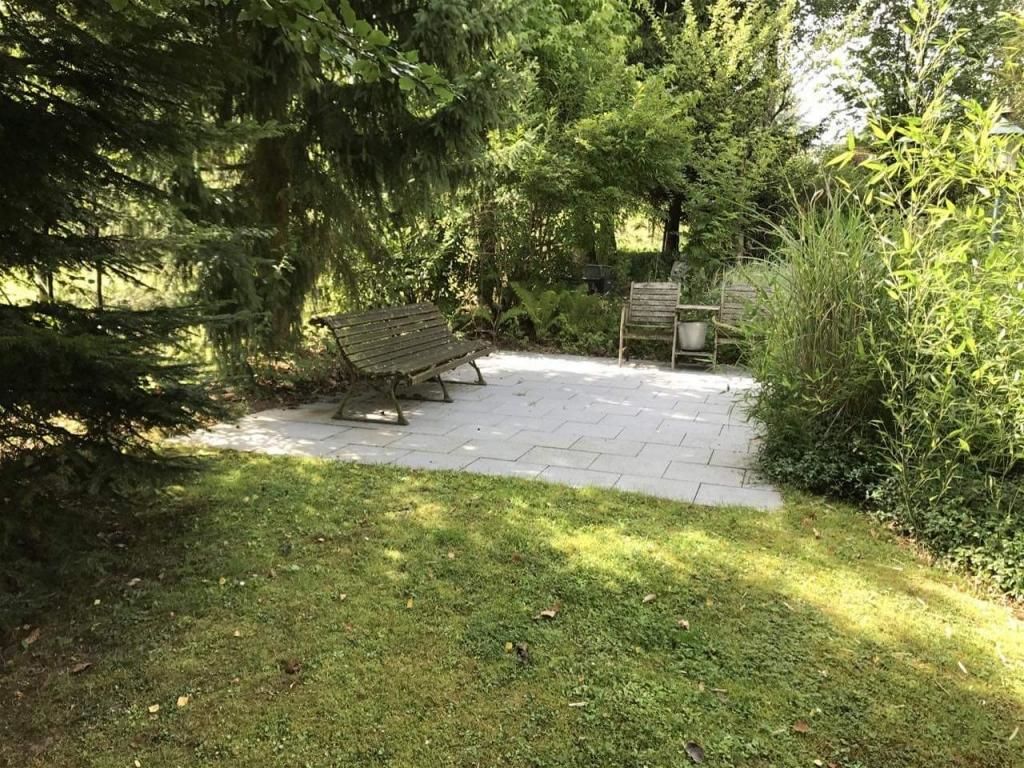 Image 19