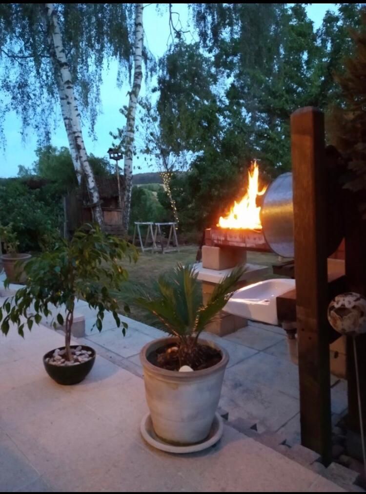 Image 16