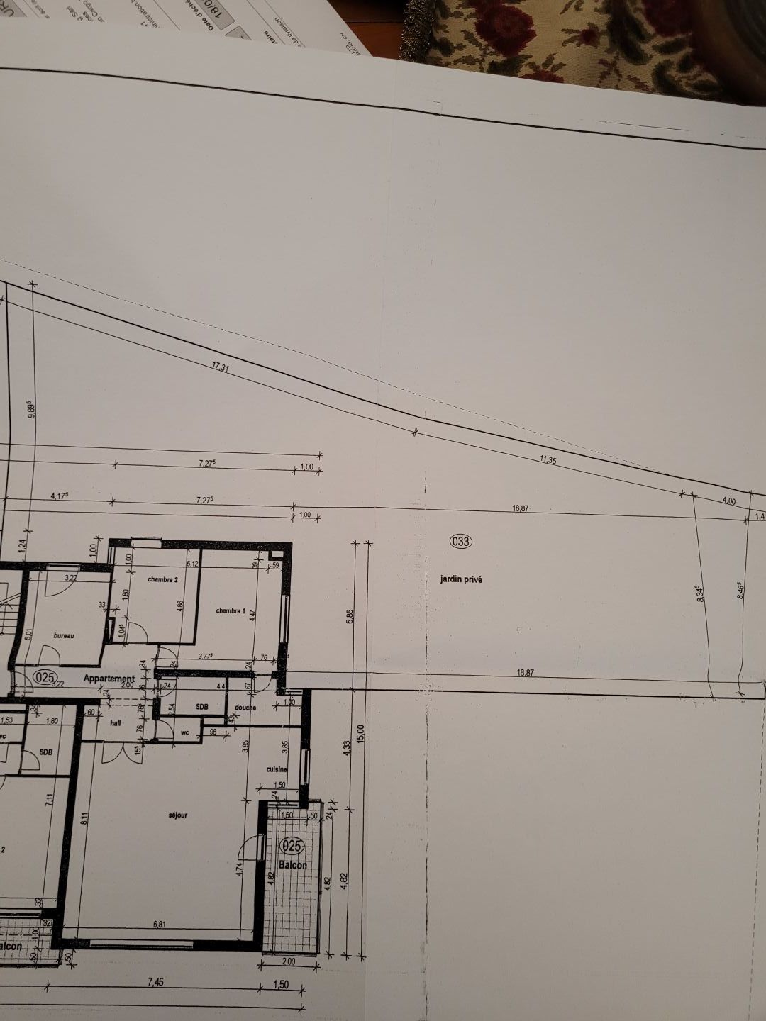 Image 19