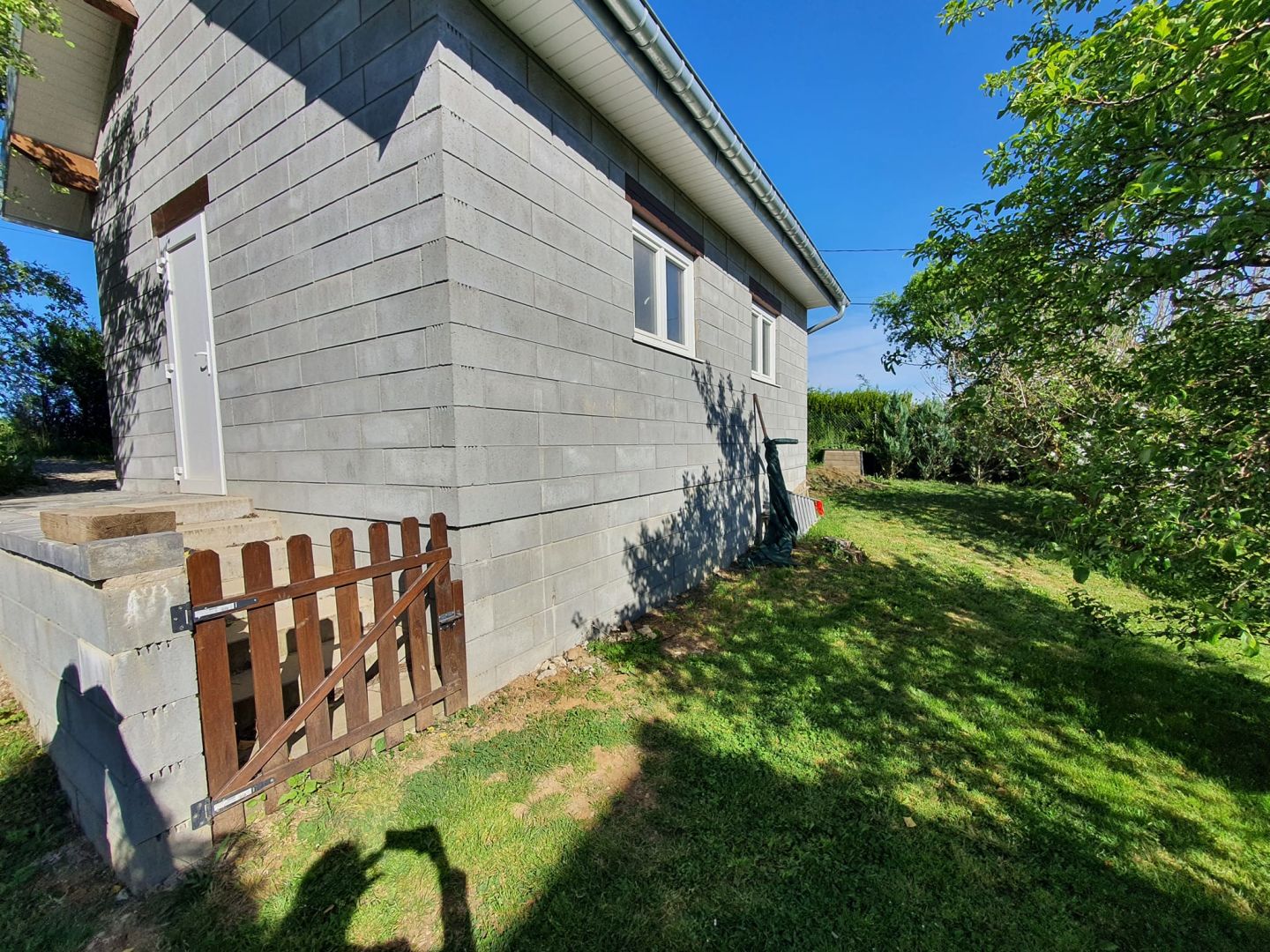Image 7