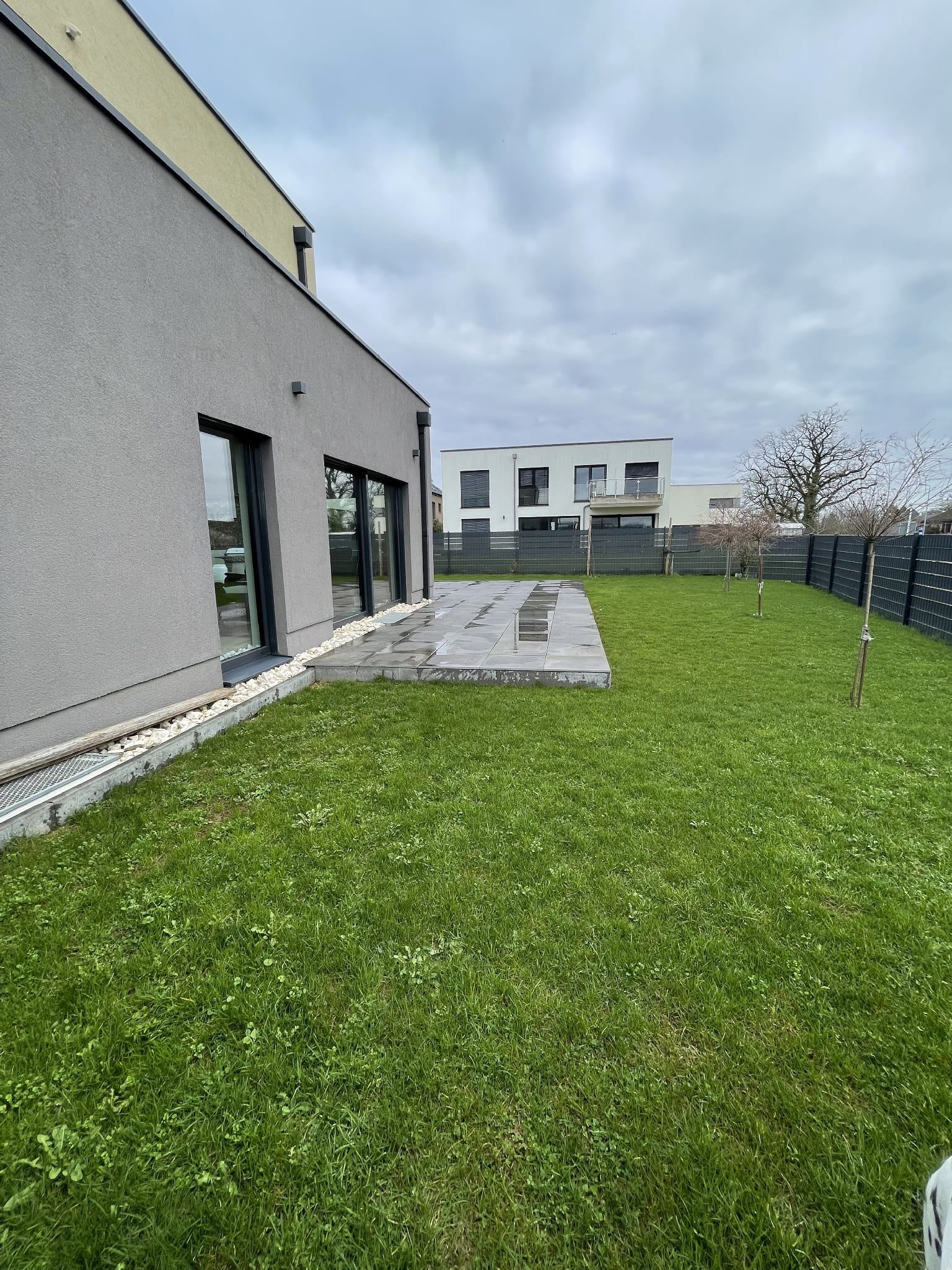 Image 20